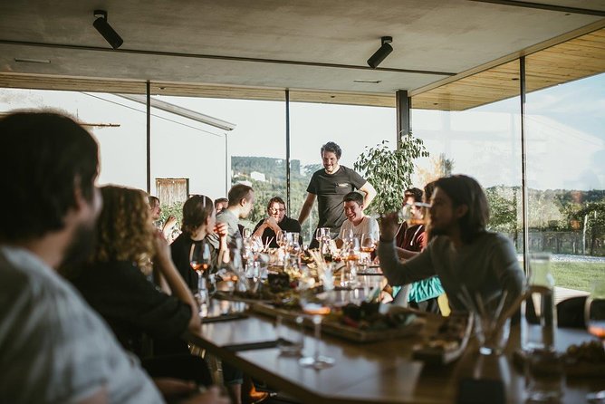Wine Tasting with Pairing Snacks in Vipava Valley - Key Points at a Glance