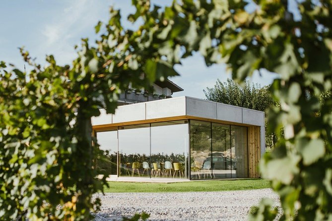 Wine Tasting with Pairing Snacks in Vipava Valley - Why This Tasting Feels More Personal