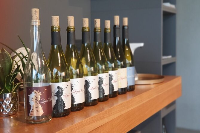 Wine Tasting with Pairing Snacks in Vipava Valley - The First Pour: Understanding Vipava Valley