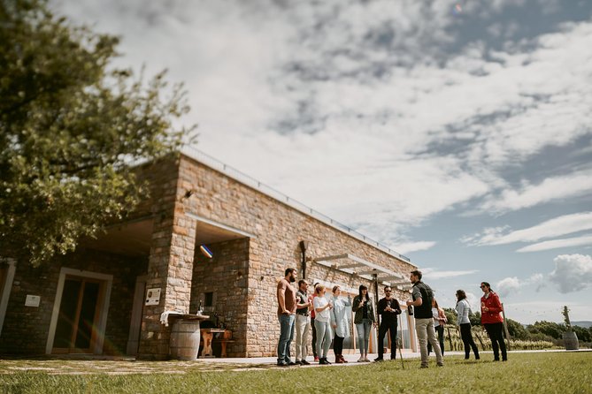 Wine Tours in Slovenia - The second winery: cellar time at Poljsak