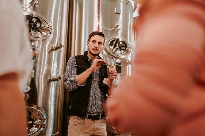 Wine Tours in Slovenia - What the sommelier guide adds to the day