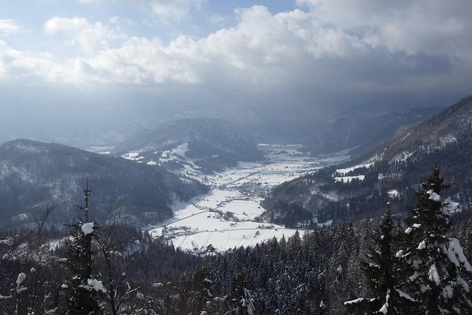 Winter Fairytale - Triglav National Park Half Day Trip - Snowshoeing through Pokljuka’s wooded karst