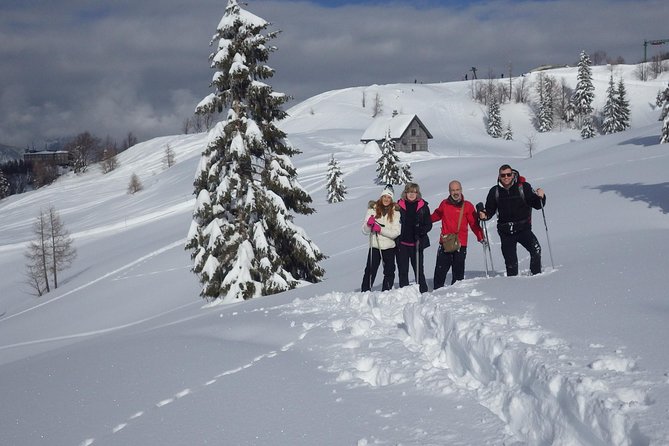 Winter Fairytale - Triglav National Park Half Day Trip - A guide can make the difference